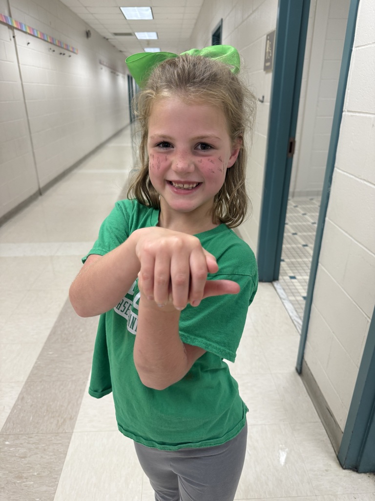 Students dressed in their house colors