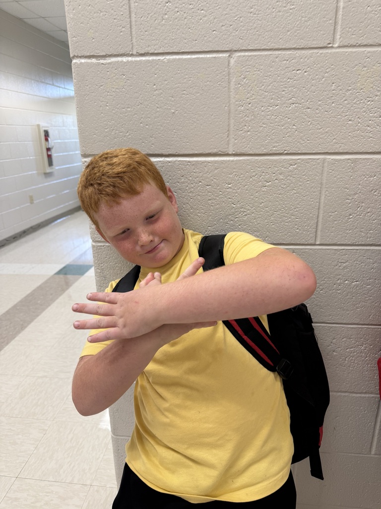 Students dressed in their house colors
