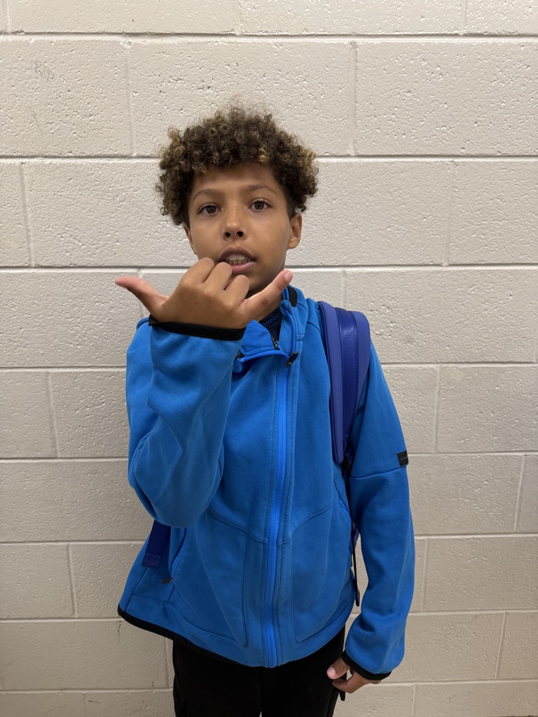 Students dressed in their house colors