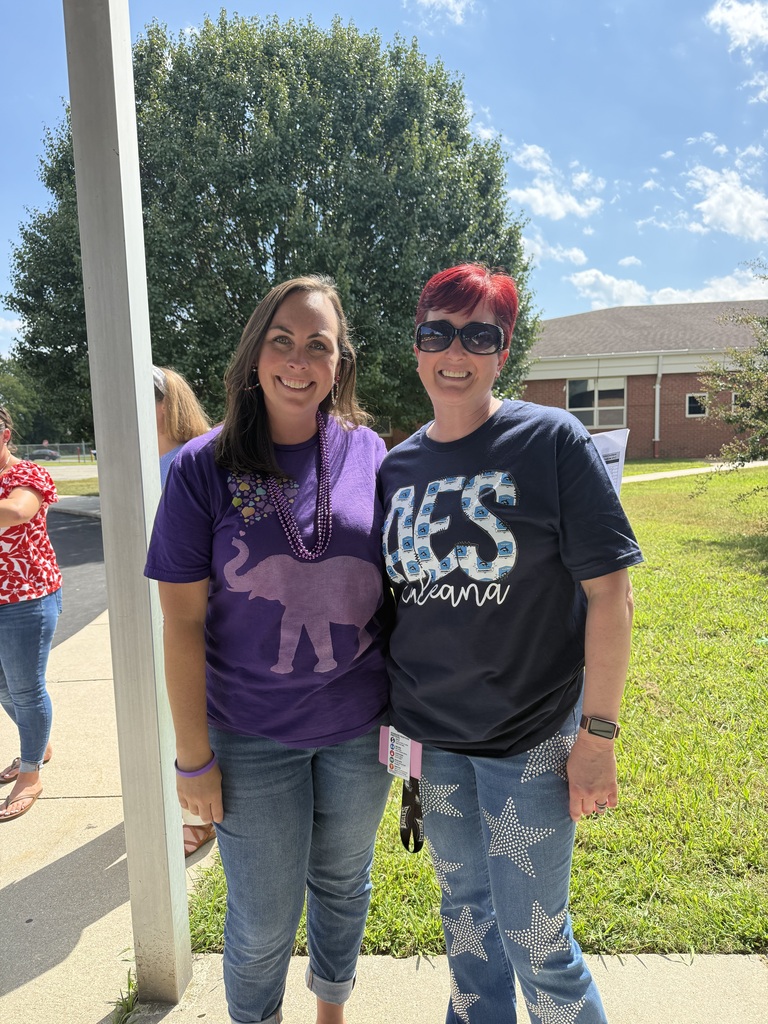 Students dressed in their house colors
