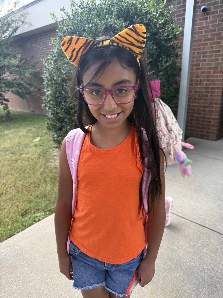 Students dressed in their house colors