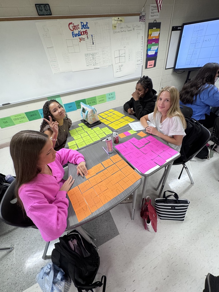 Students working on their card sort activity.