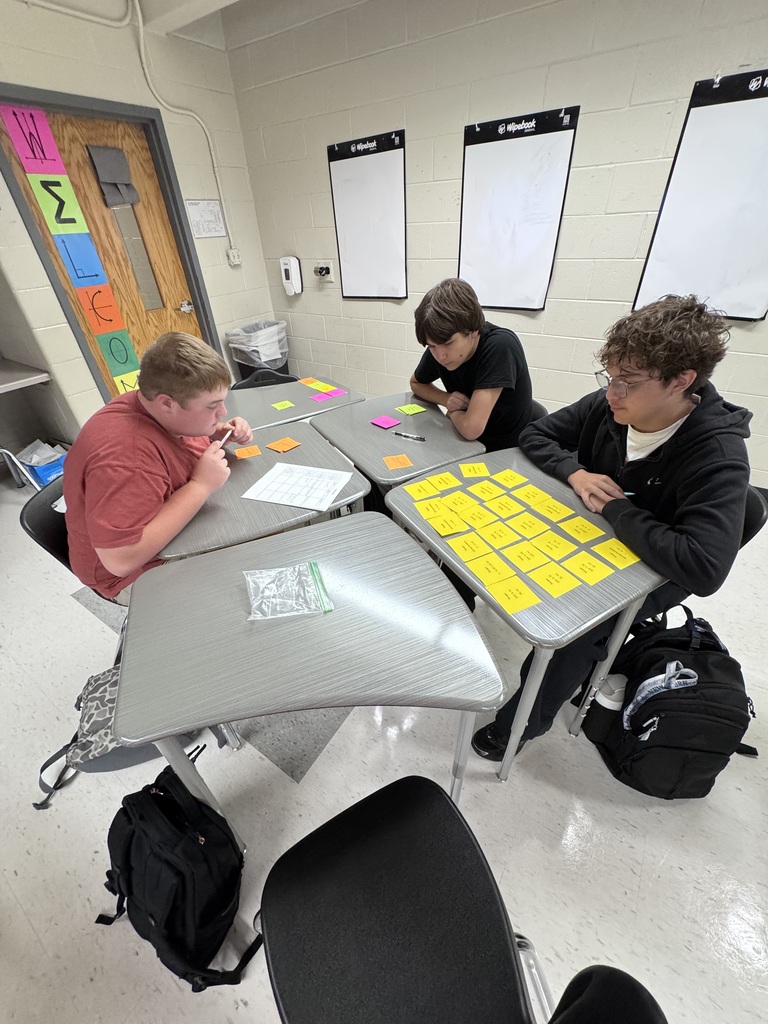 Students working on their card sort activity.