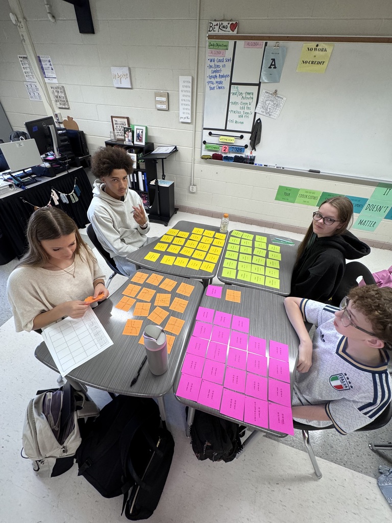 Students working on their card sort activity.