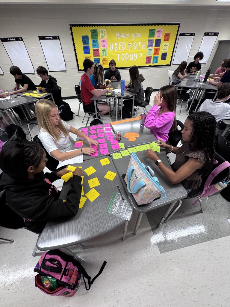 Students working on their card sort activity.