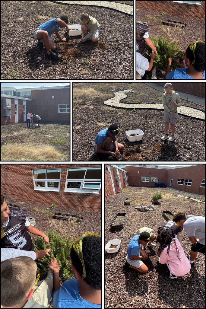 Verona AG Students taking Soil Samples and discovering rosemary