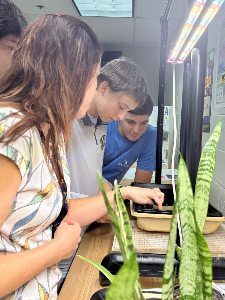 Mrs. O'Keefe's Horticulture class prepared lettuce seeds for planting. Photo by Mrs. Lankford.