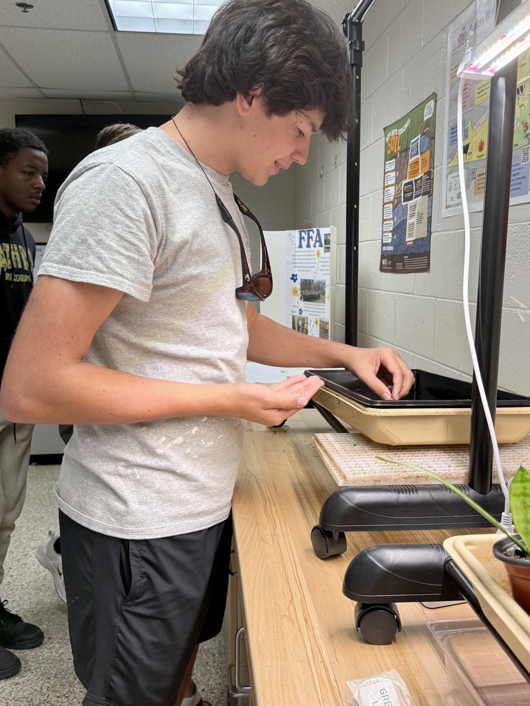 Mrs. O'Keefe's Horticulture class prepared lettuce seeds for planting. Photo by Mrs. Lankford.