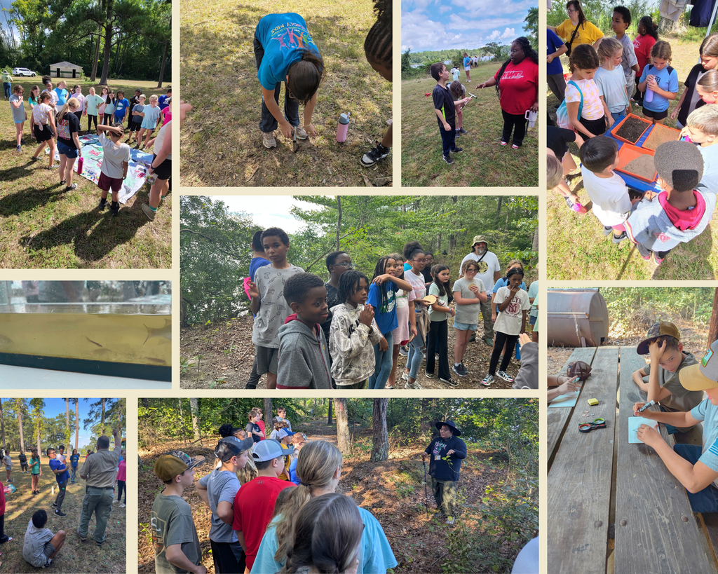 Science Field Trip to Sand Point National Park