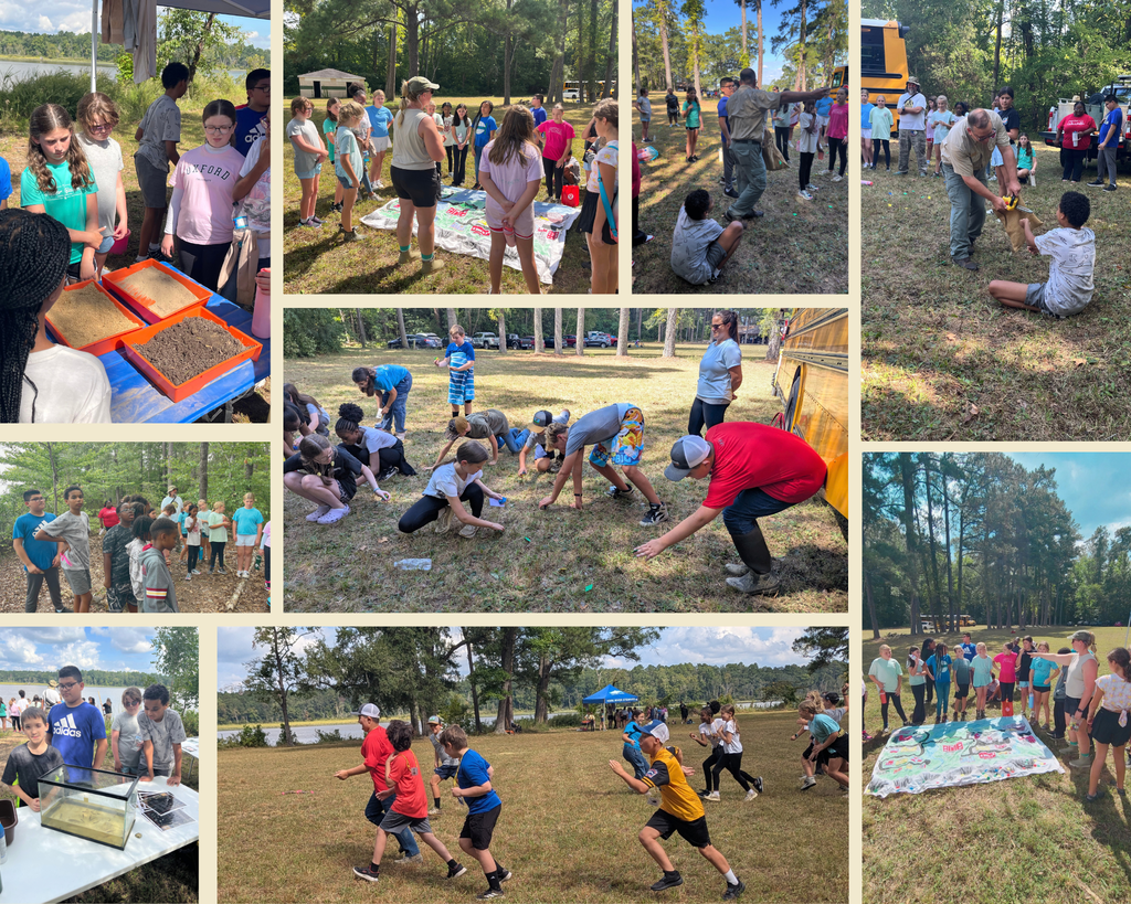 Science Field Trip to Sand Point National Park