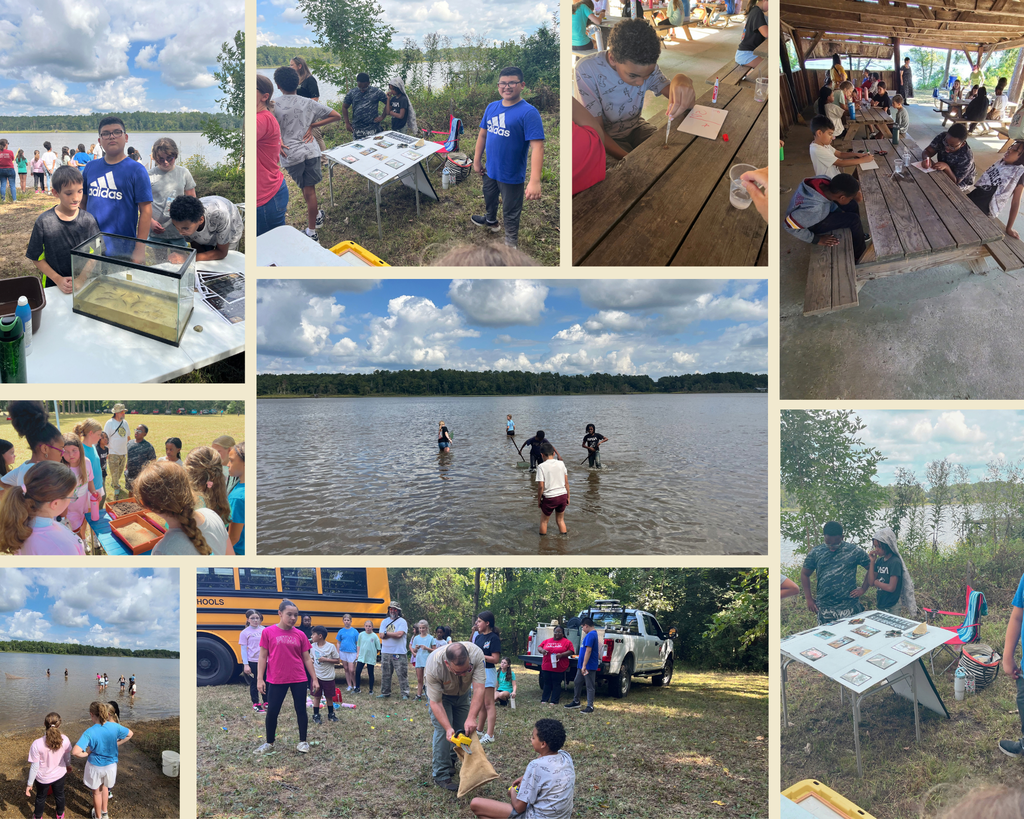 Science Field Trip to Sand Point National Park