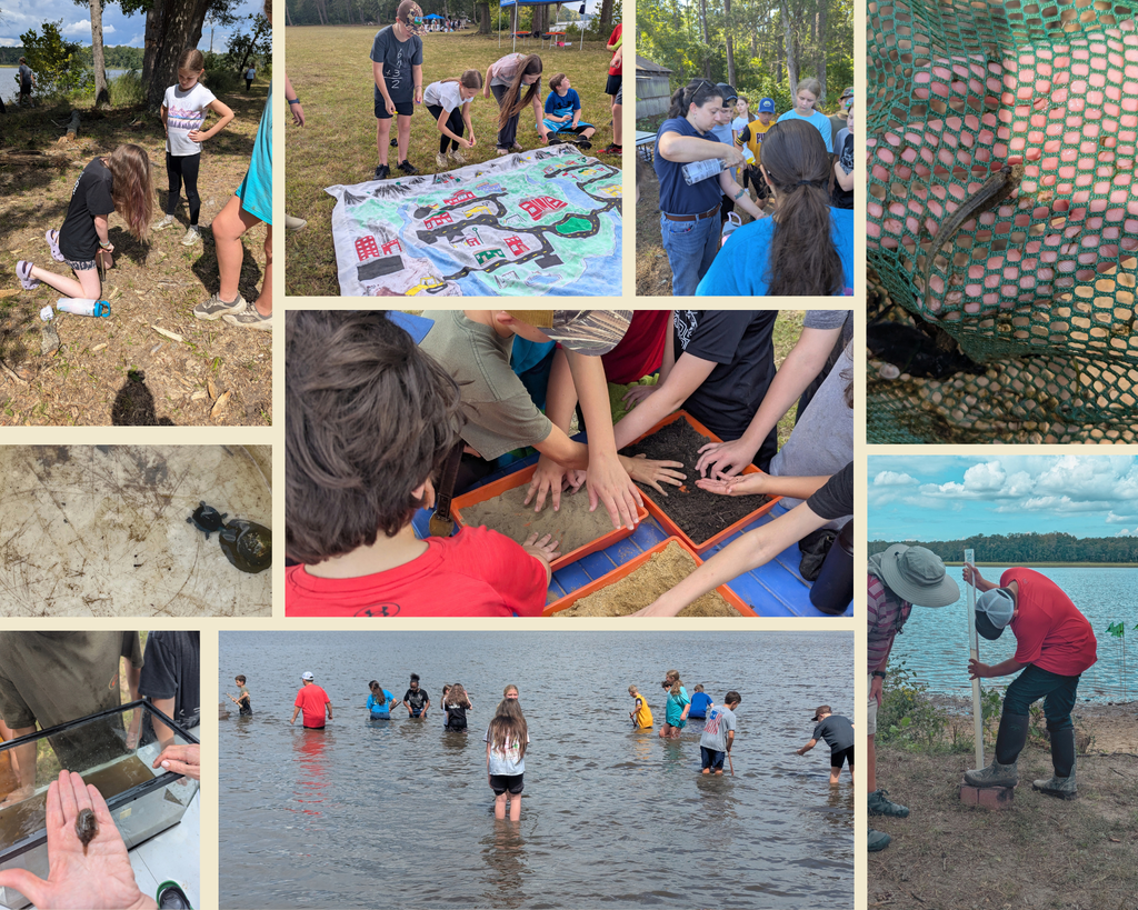 Science Field Trip to Sand Point National Park
