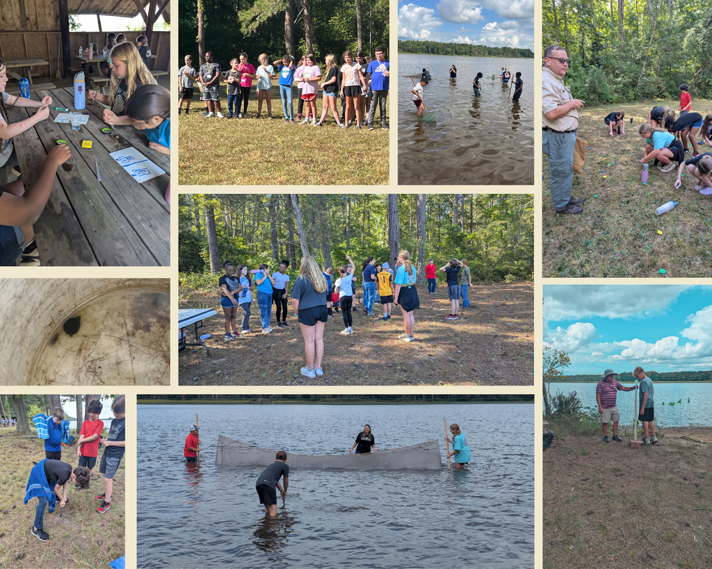 Science Field Trip to Sand Point National Park
