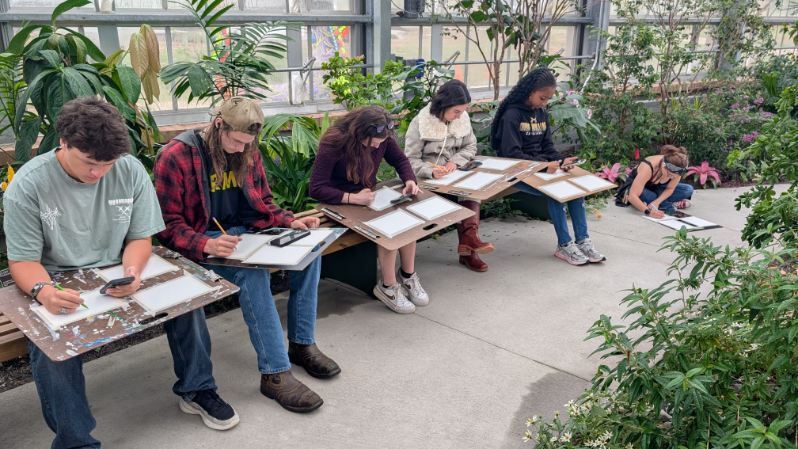 Students sketching butterflies in the conservatory