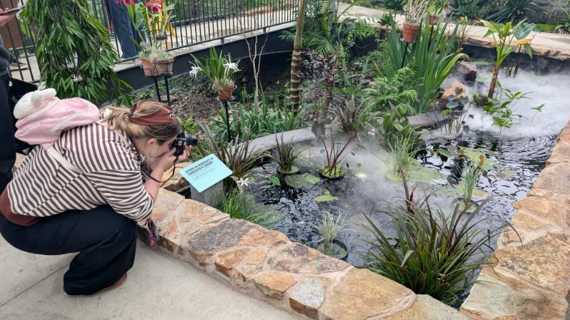Student photographing the tropical garden display