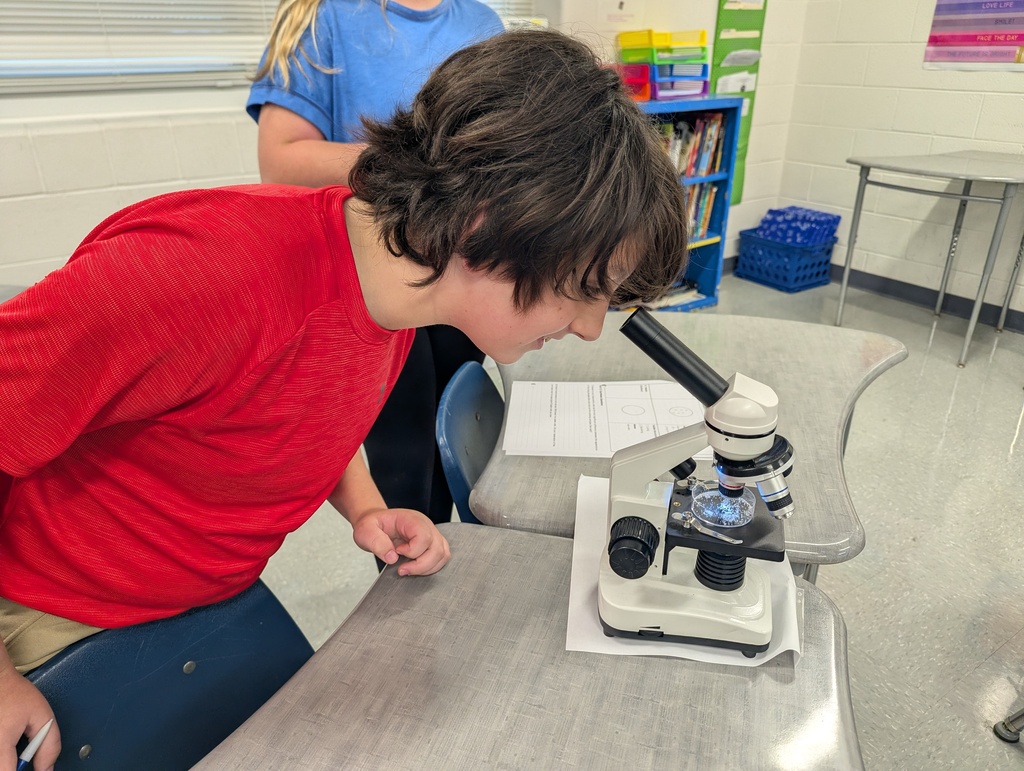 Ms. Magee's class using microscopes