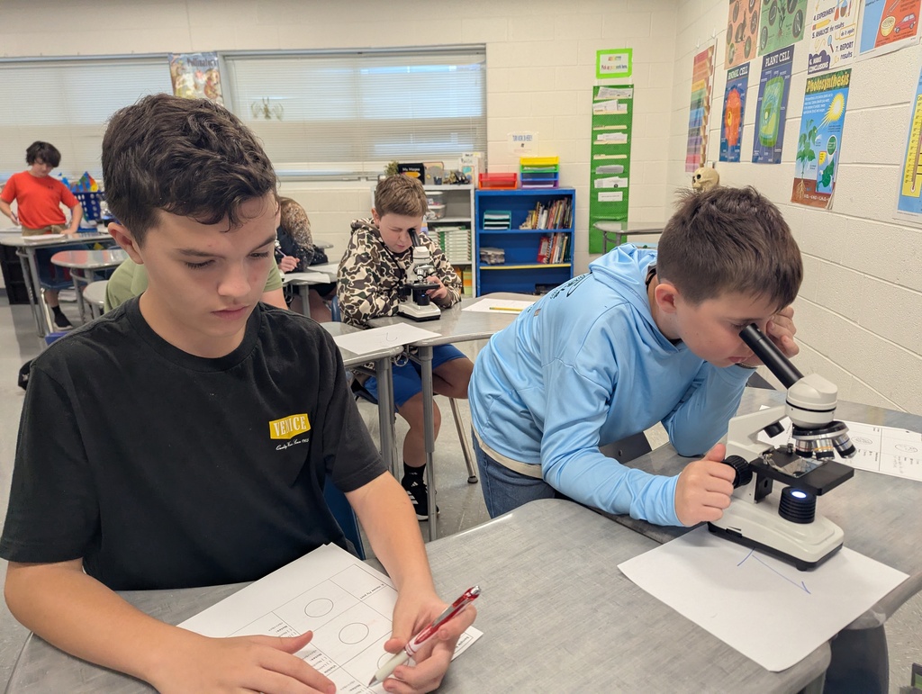 Ms. Magee's class using microscopes