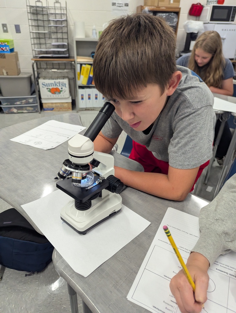 Ms. Magee's class using microscopes