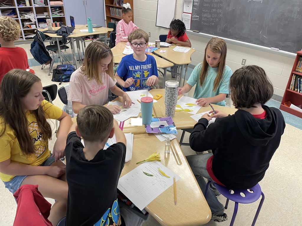 Students collaborating on classwork