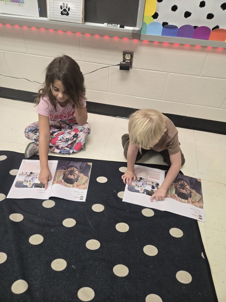 Two students reading to each other.