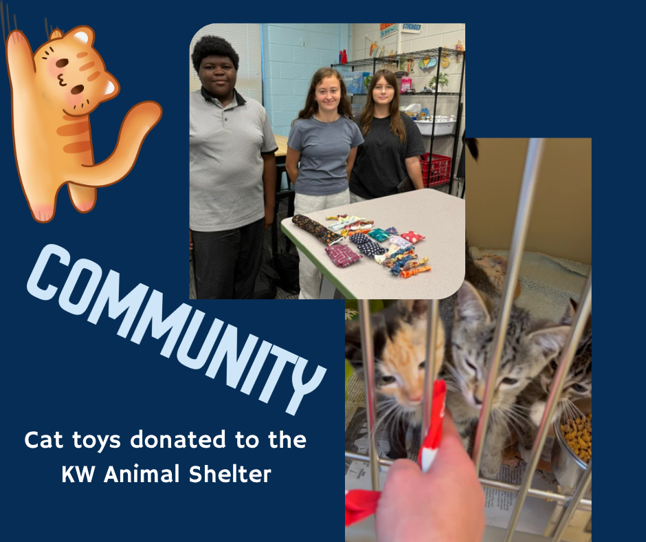 Community connection - cat toys donated