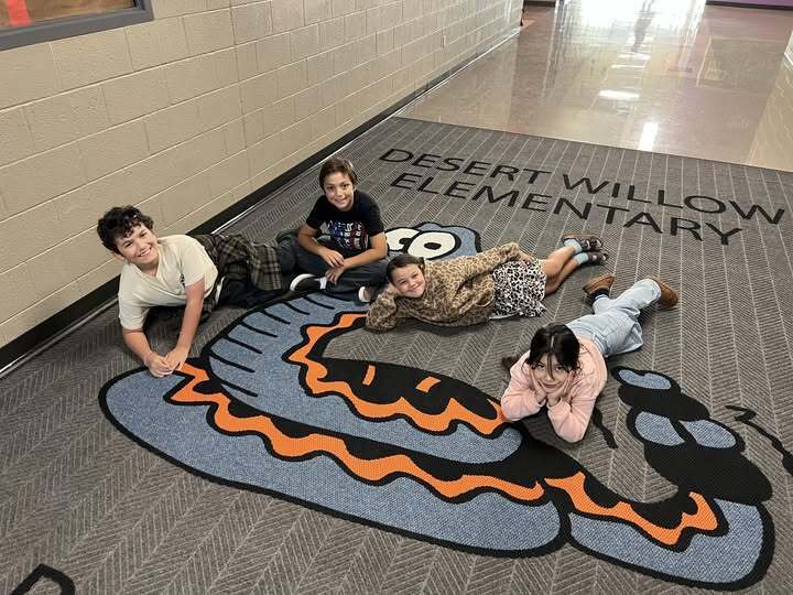 stuco