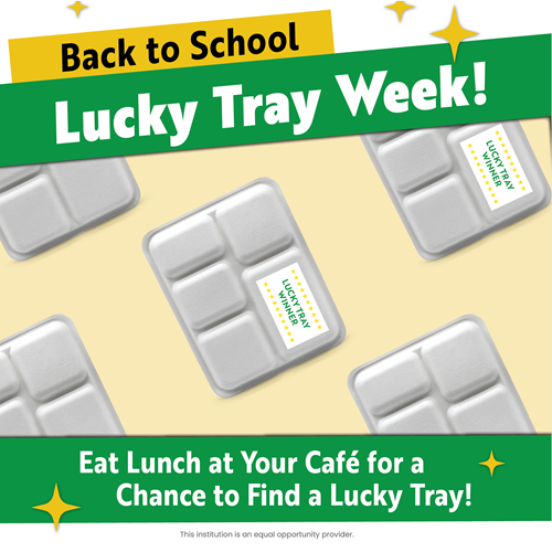 SFE Lucky Tray 