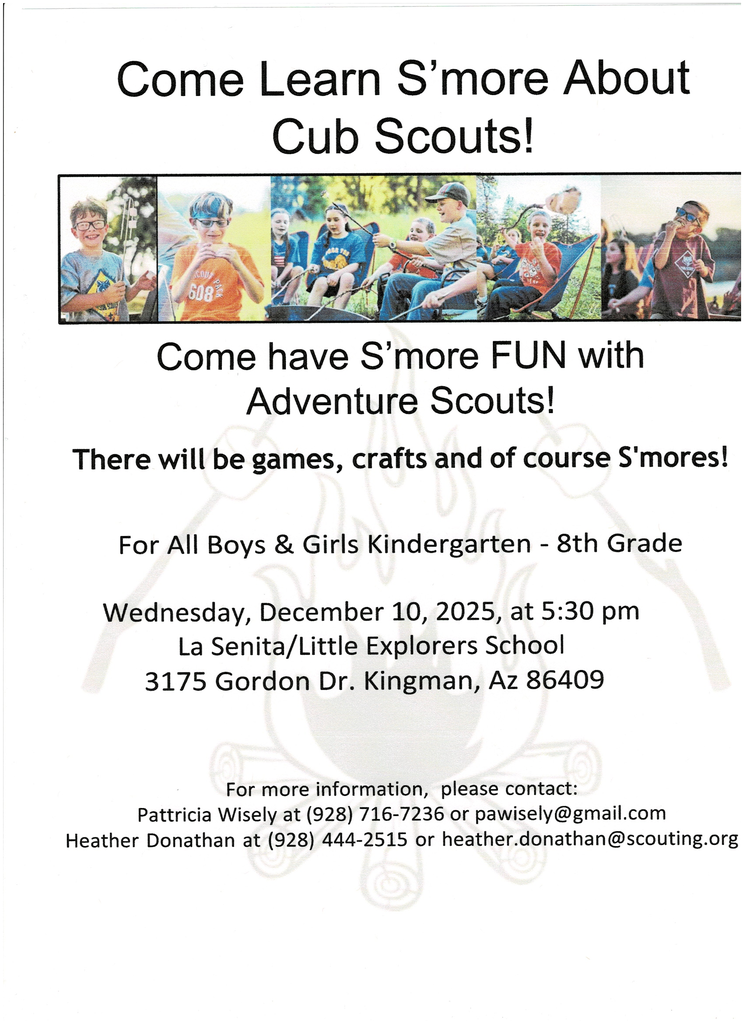 Cub Scouts