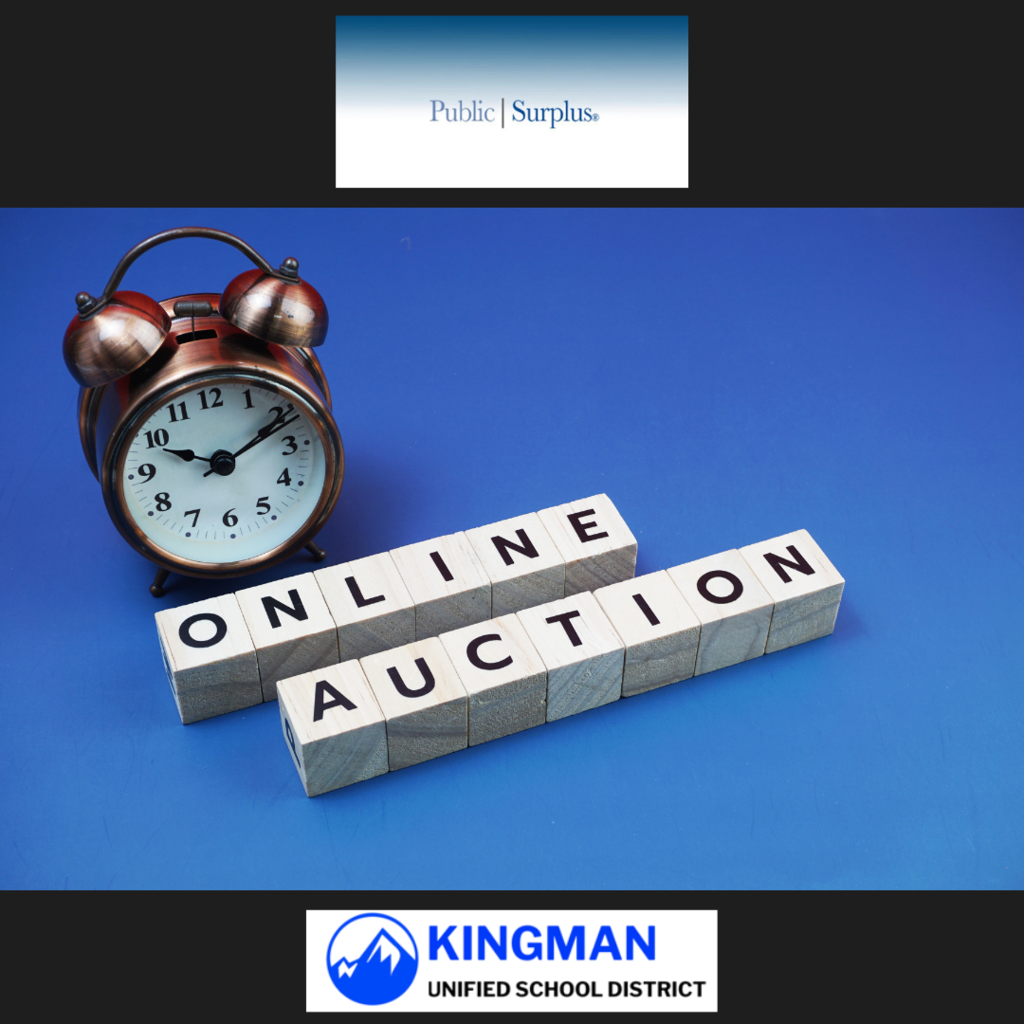 Online Auction for Public Surplus 