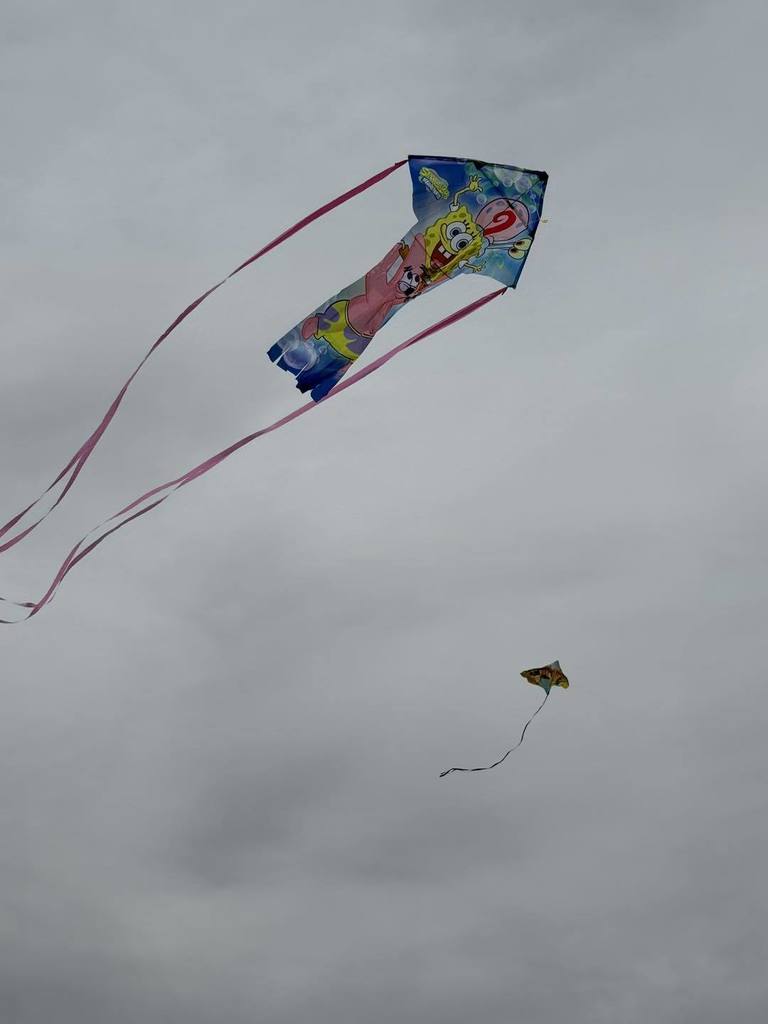 Kinder Kite Day