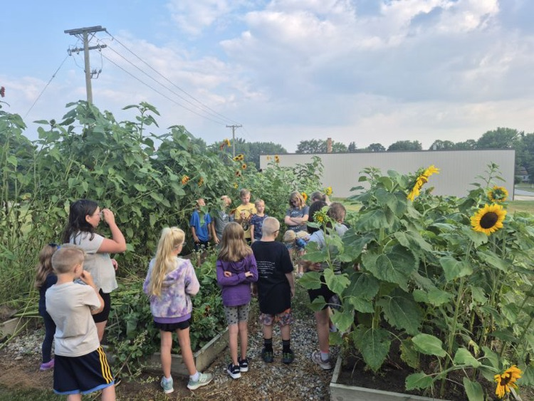 Summer School Wrap Up
