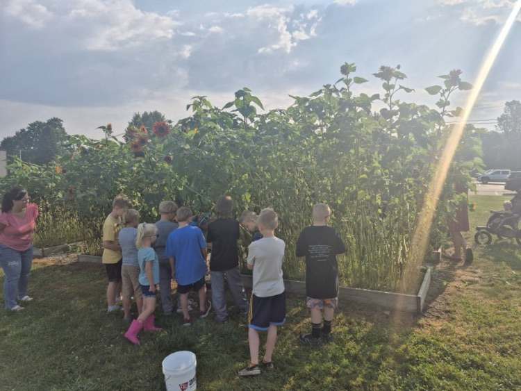 Summer School Wrap Up