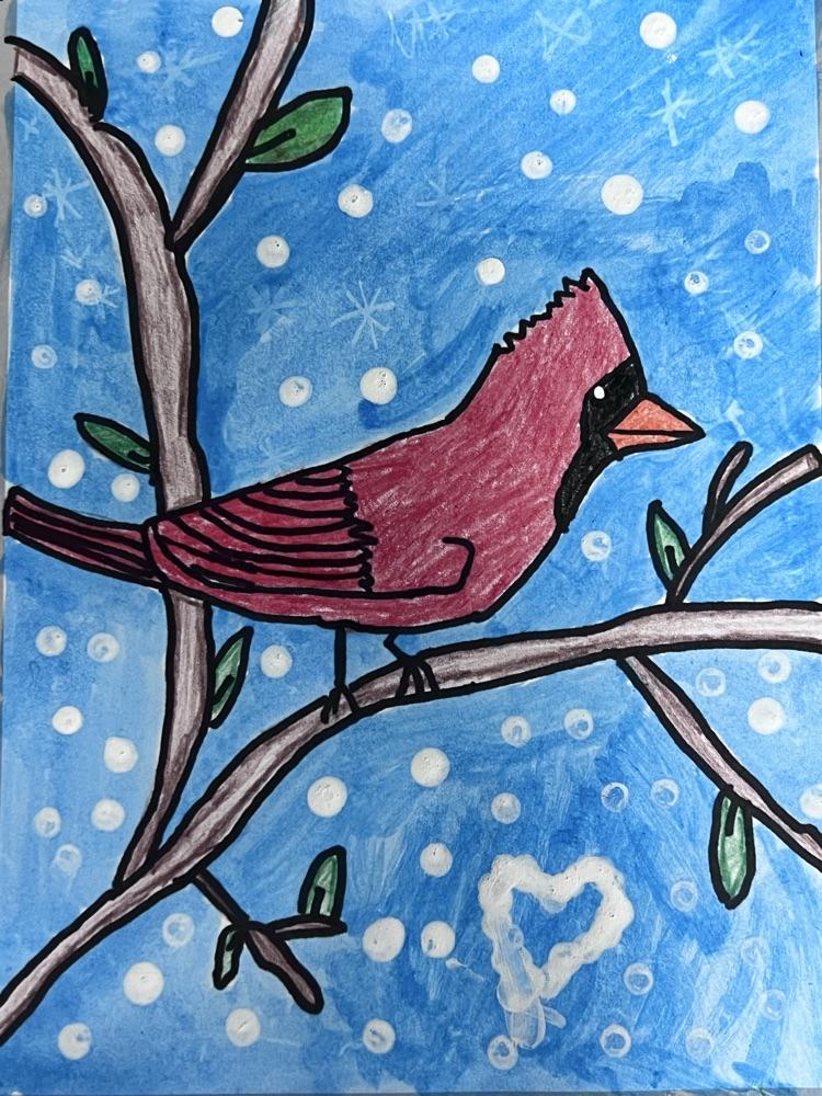 Beautiful Cardinal!