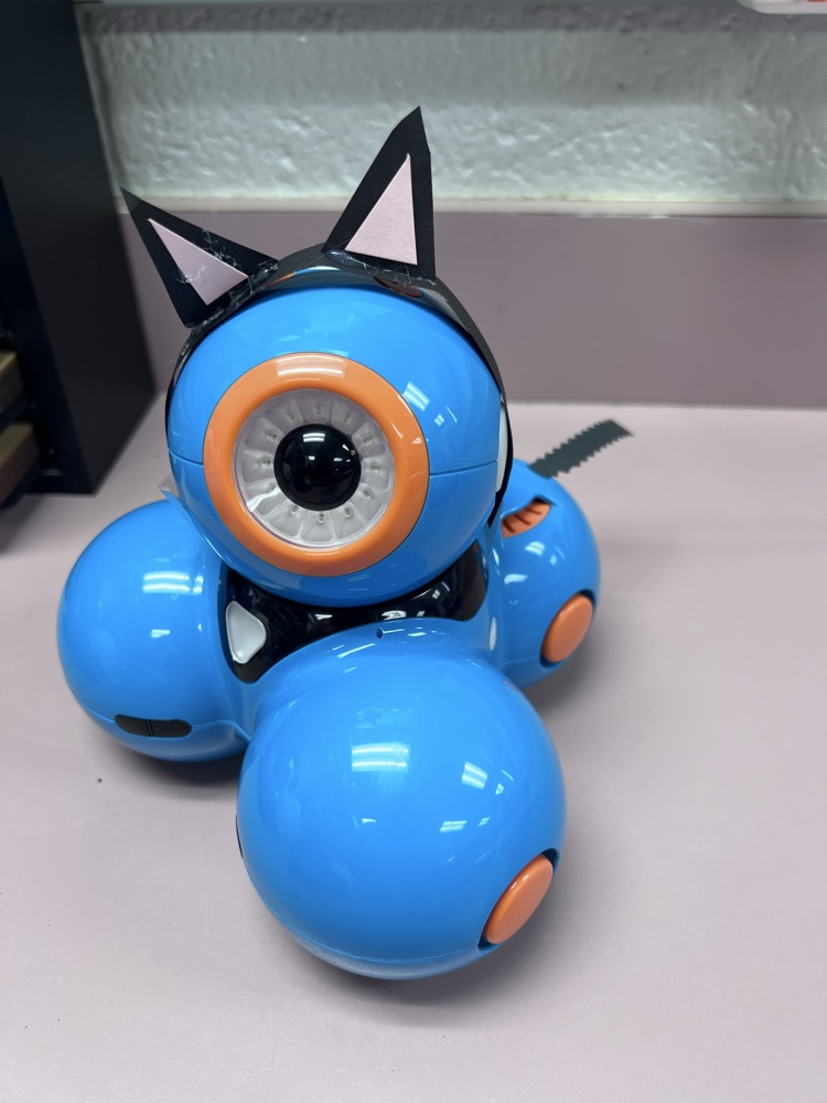 Meowzer can’t wait to go trick or treating! 🐈⬛ 🍬