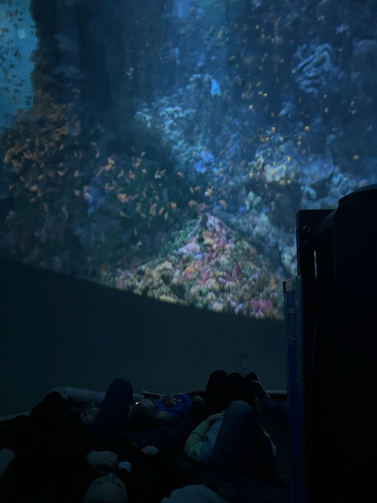 Immersed in learning!