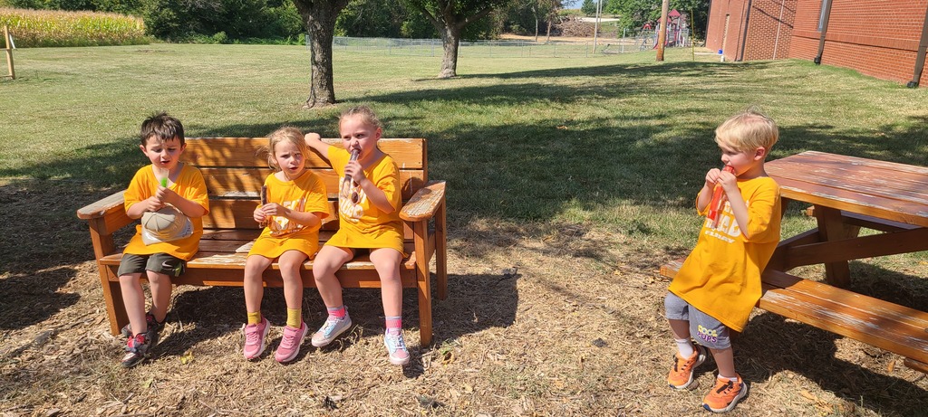 Field Day