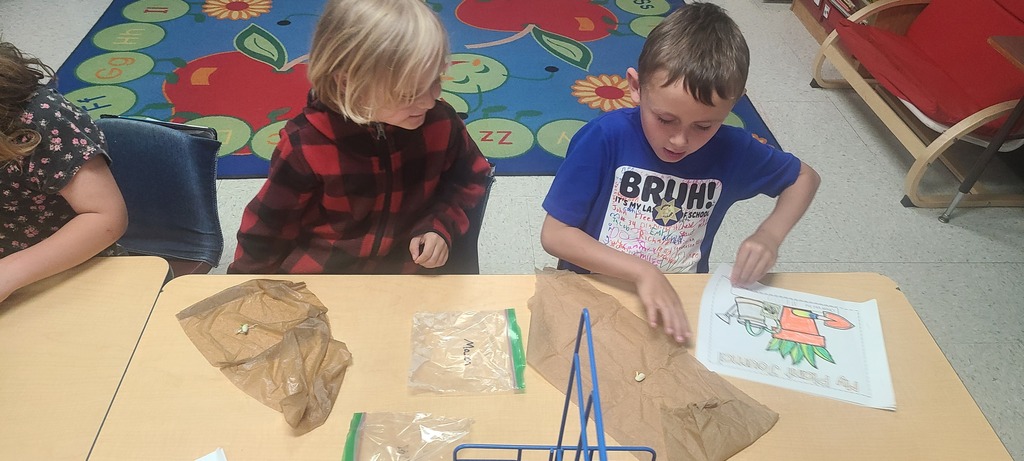 Kindergarten