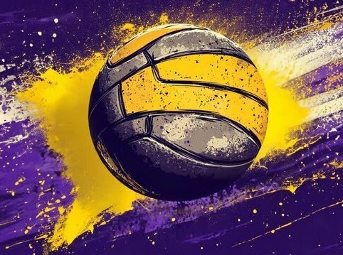 Volleyball