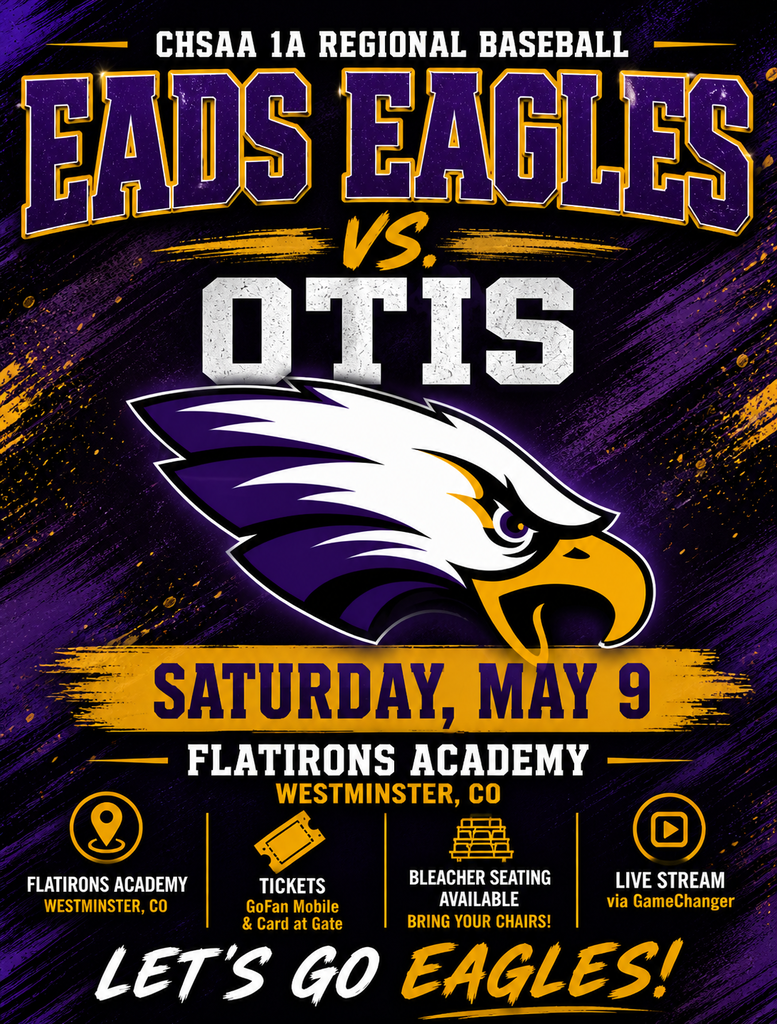 Regional Baseball flyer