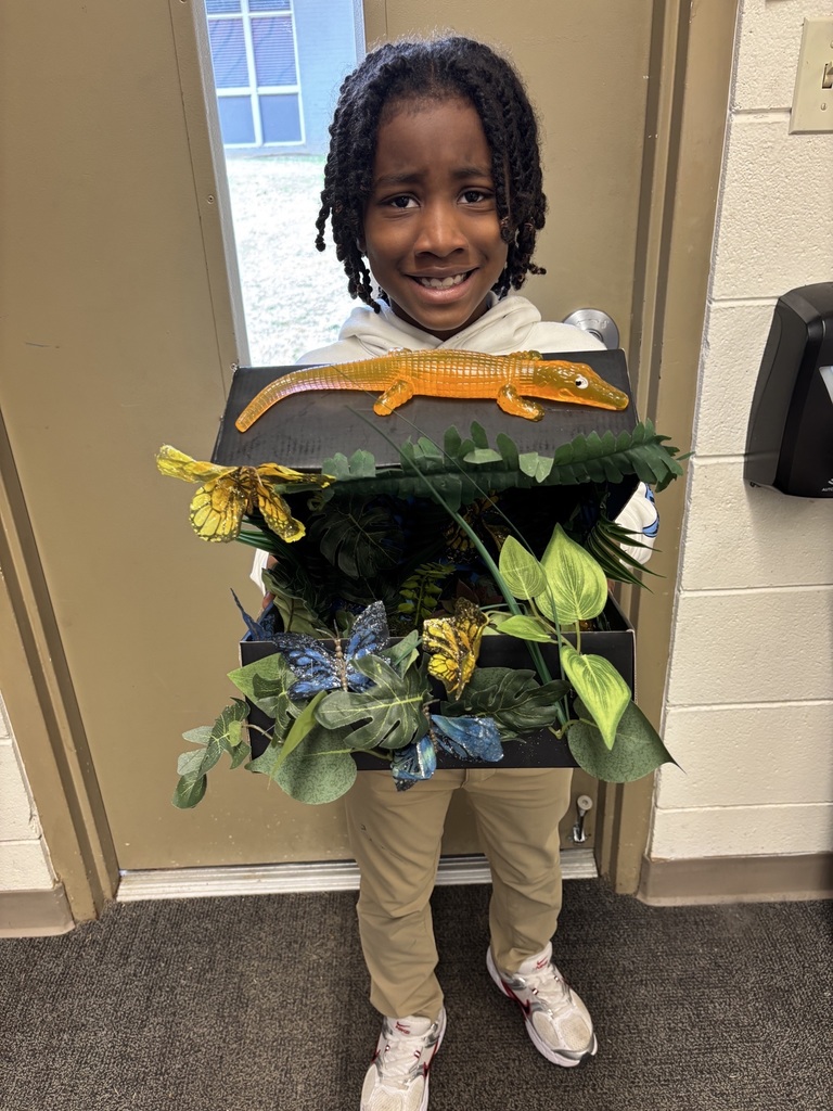 Sebastian's rainforest