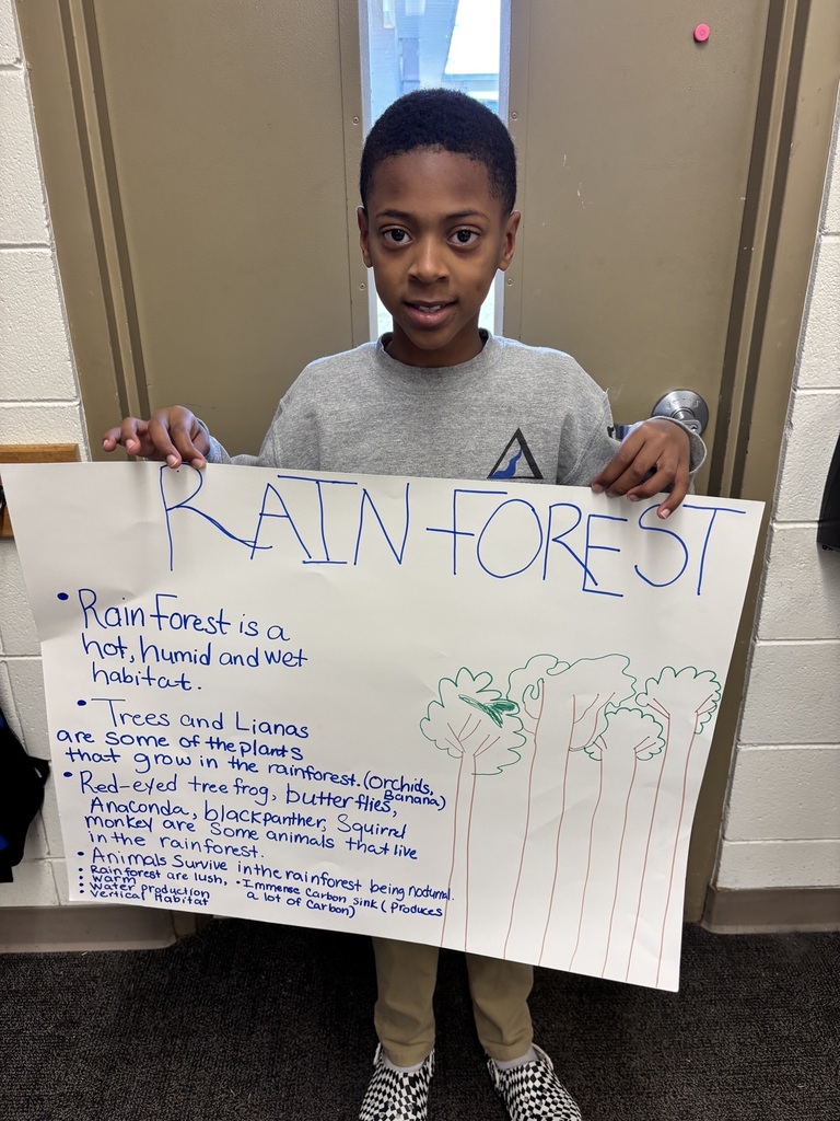 Drayden's rainforest