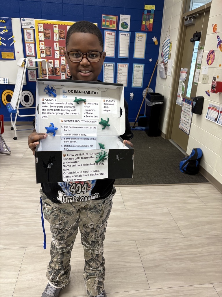 Chayce's ocean habitat