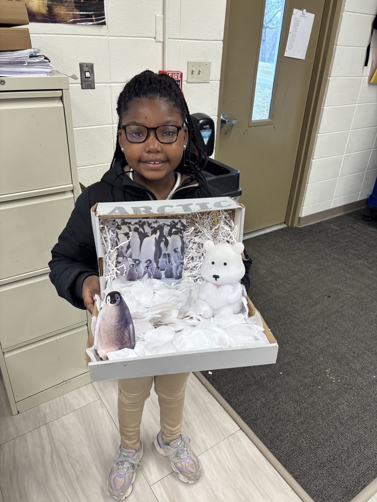 Zanielle's arctic habitat