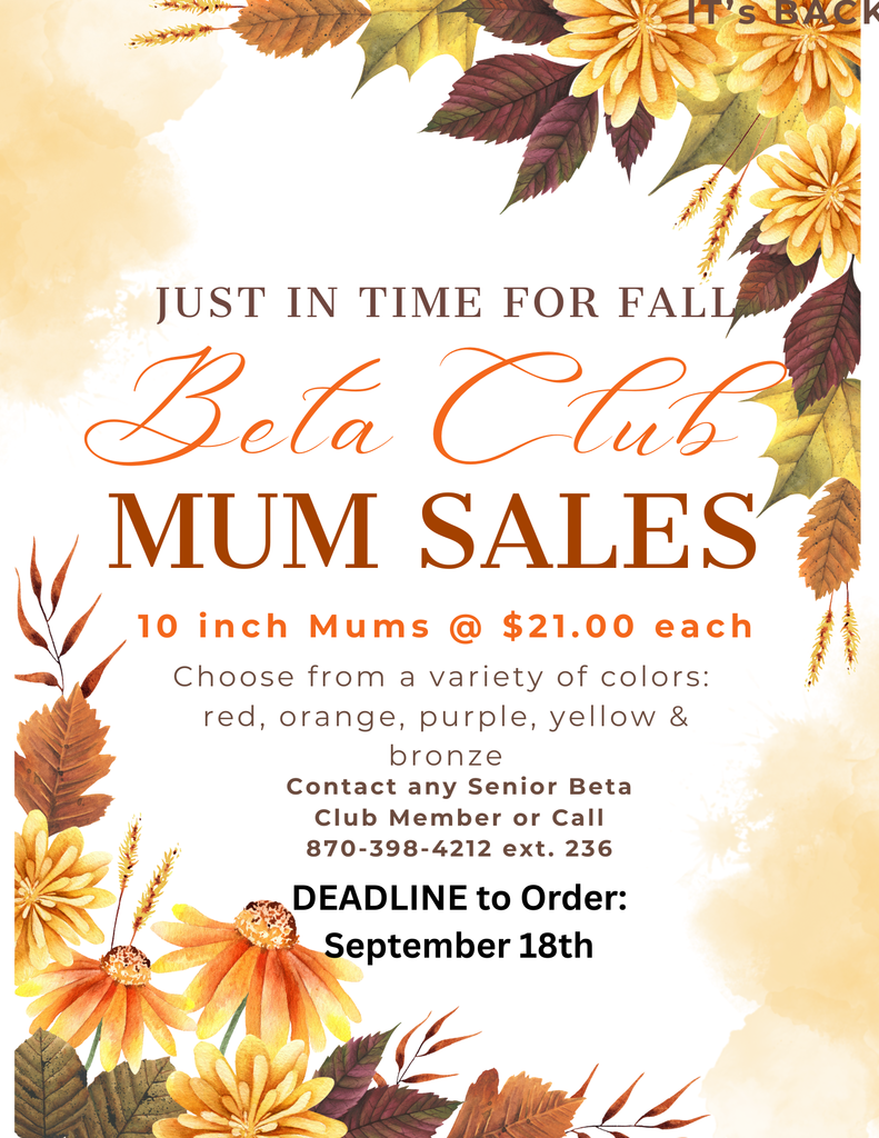 Senior Beta Club Mum Sales