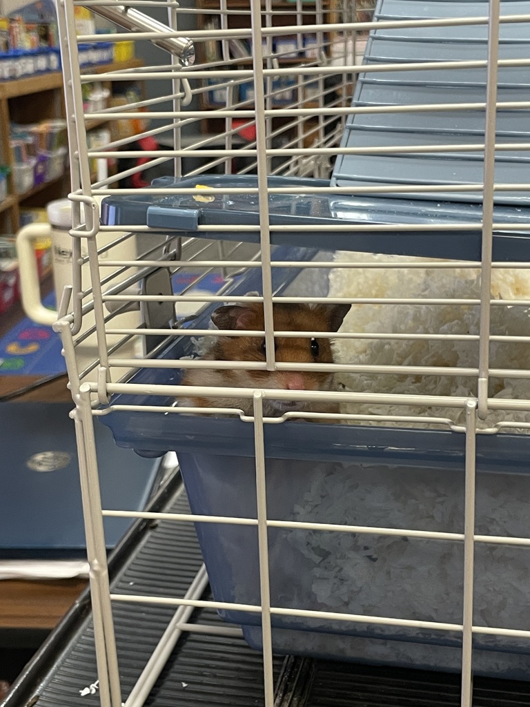 Nashville Animal Hospital00The World According to Humphrey