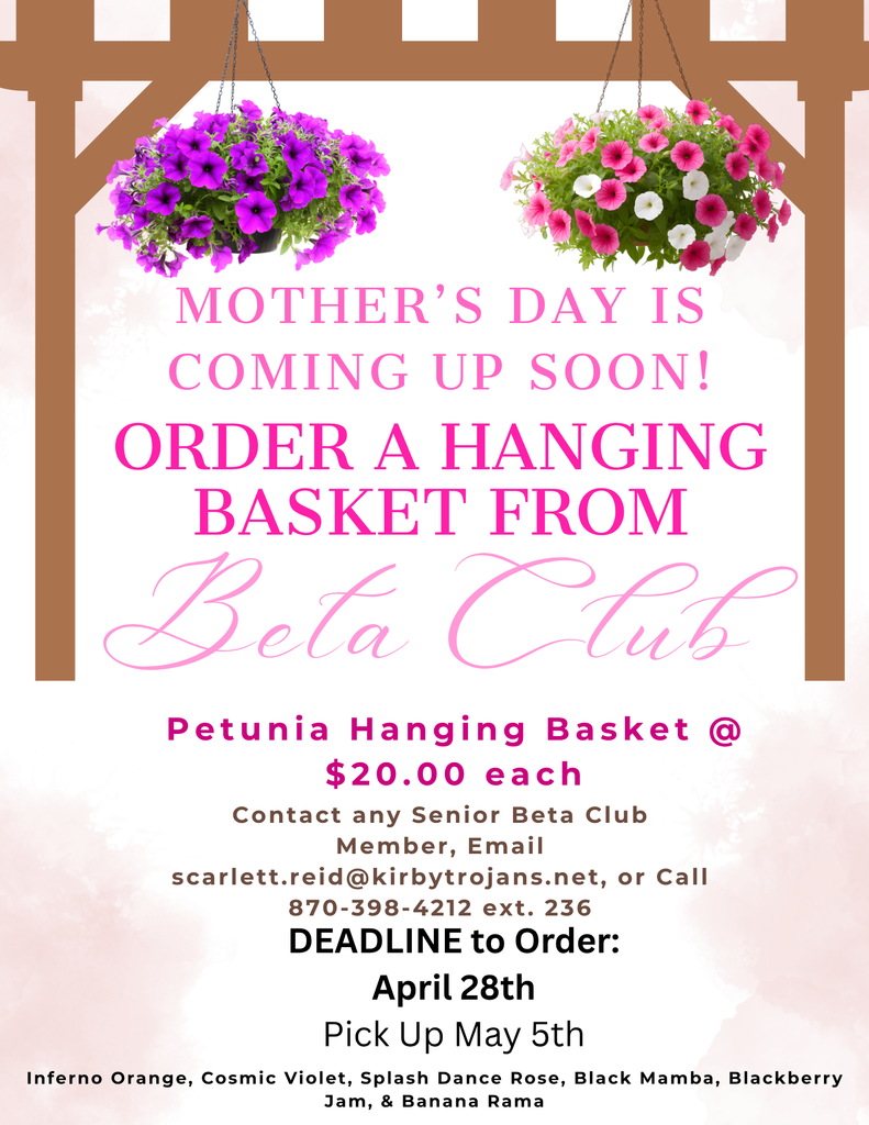 Beta Club Hanging Basket Sale