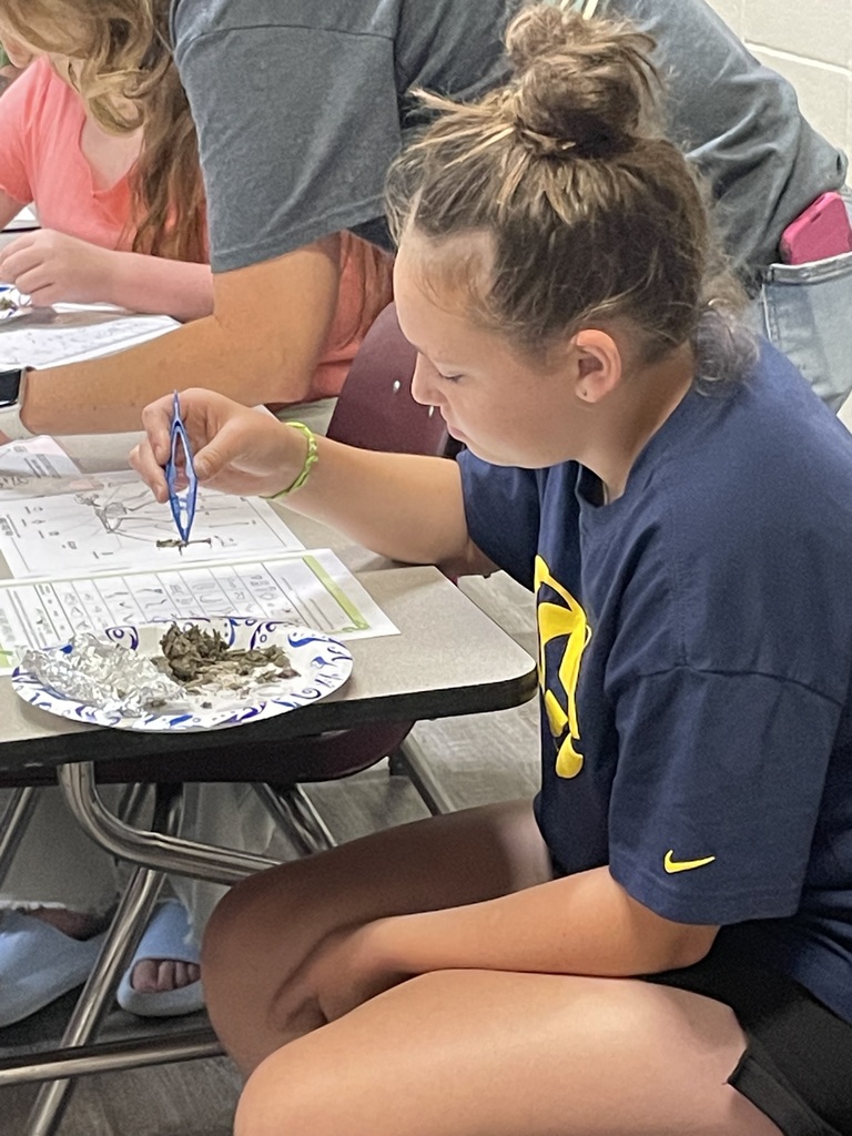 STEAM Camp D3 P1