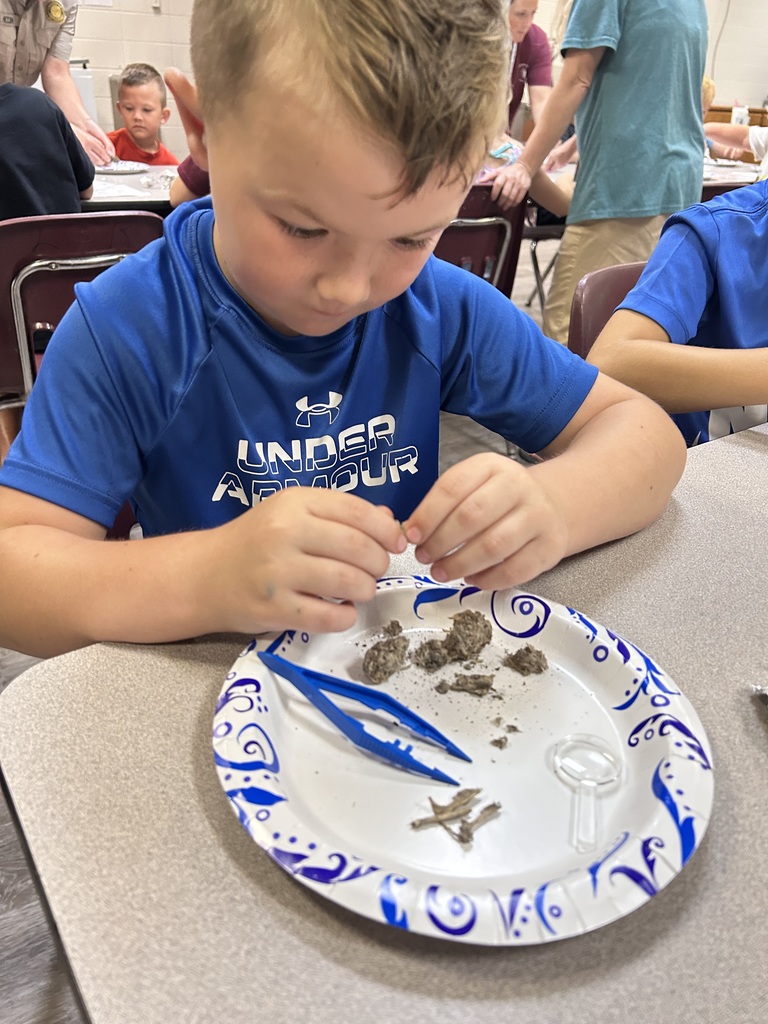STEAM Camp D3 P1