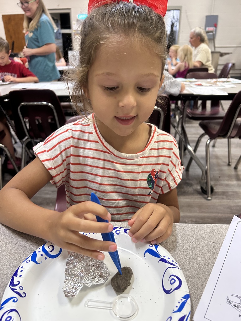 STEAM Camp D3 P1