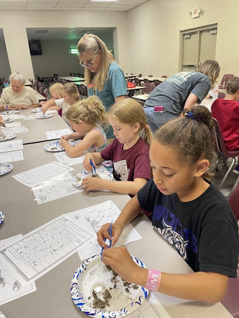 STEAM Camp D3 P1